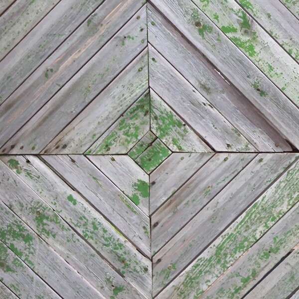 长绿色苔藓的木板背景