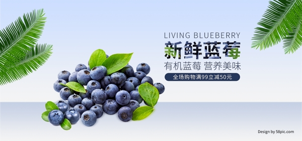 电商淘宝水果生鲜新鲜有机蓝莓全屏促销海报
