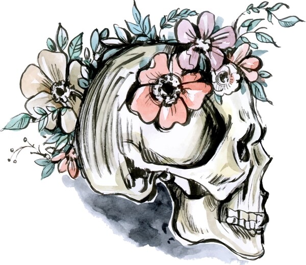 手绘水彩花卉骷髅头骨插图