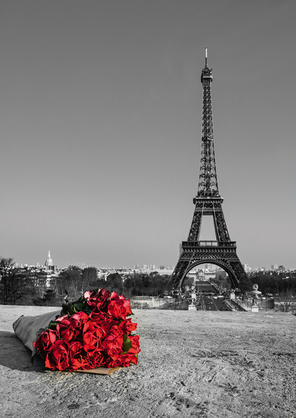 黑白彩色照片埃菲尔铁塔玫瑰花