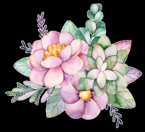 各类花卉透明装饰图案