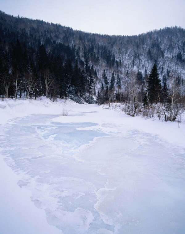 山林下冰冻的小溪图片