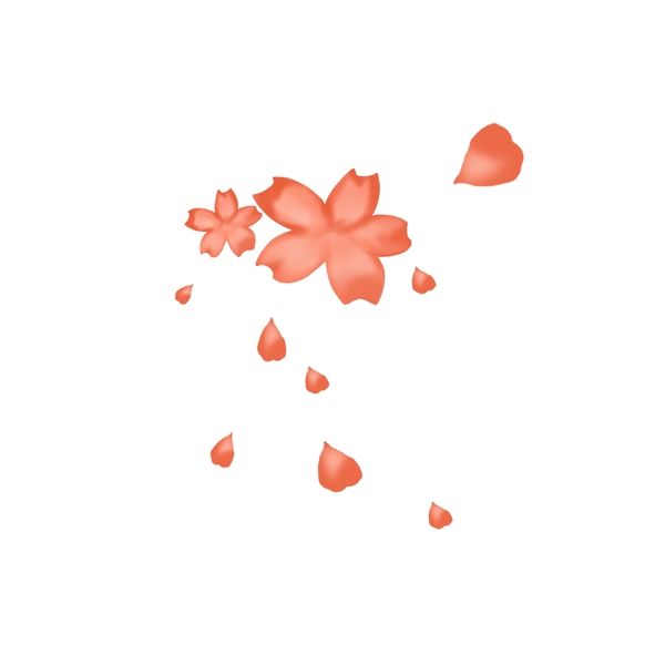 掉落的樱花花瓣图