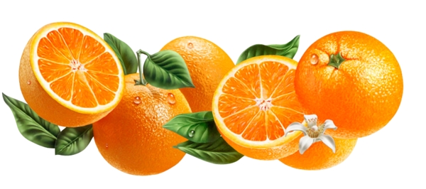 水果橙子柠檬饮料果汁