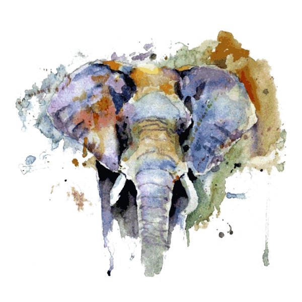 印花矢量图T恤图案插画动物大象免费素材