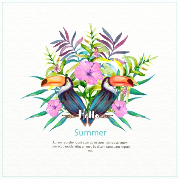 手绘水彩夏日巨嘴鸟花卉插图
