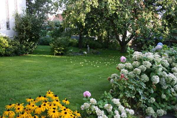 别墅花园图片