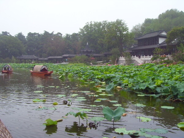 玄武湖图片