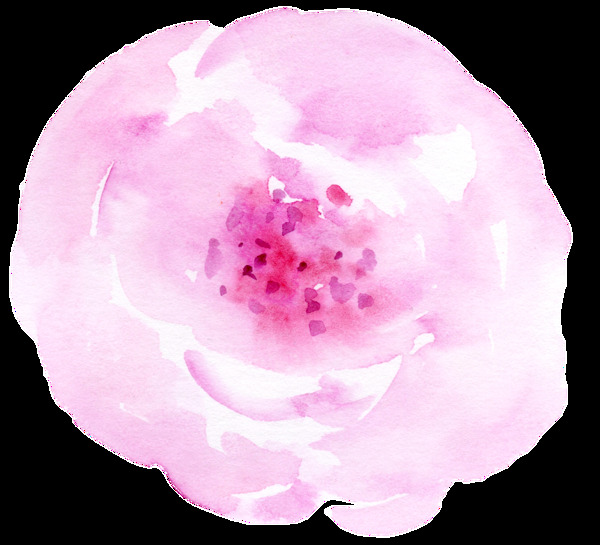 粉心玫瑰卡通透明素材