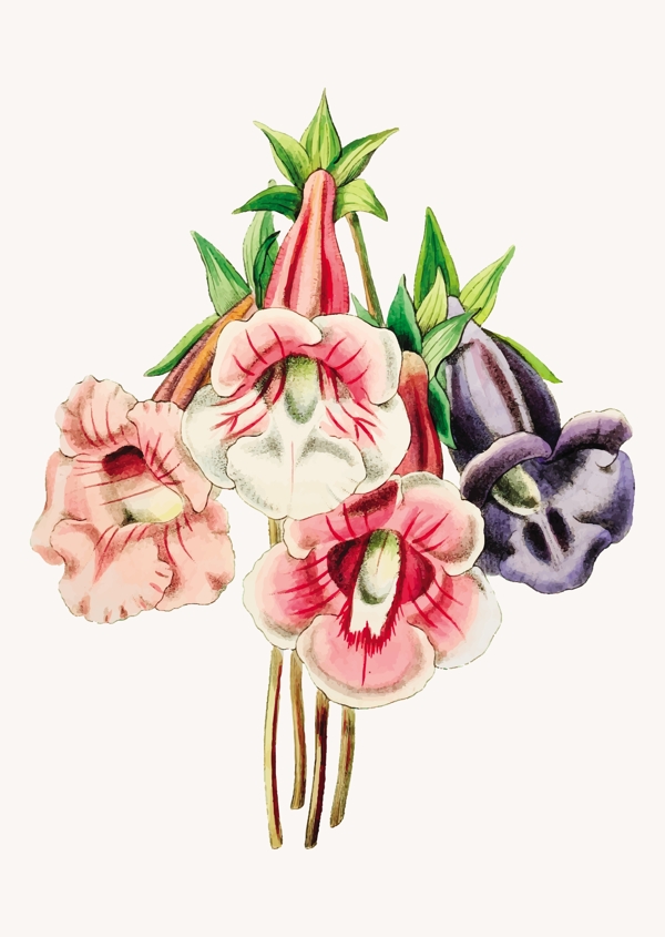 手绘水彩花朵