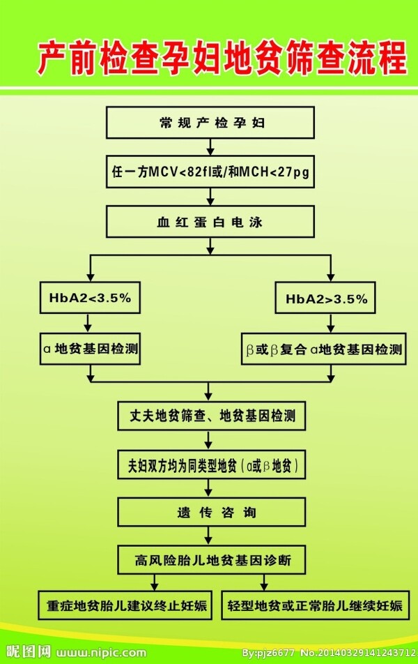 孕妇地贫筛查流程图图片