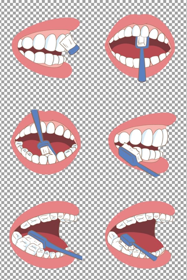 牙齿护理示意图图片
