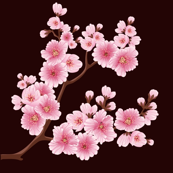 樱花背景设计