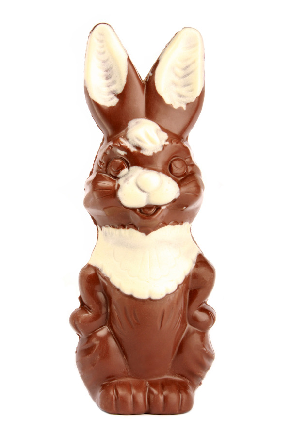 孤立的巧克力复活节兔子