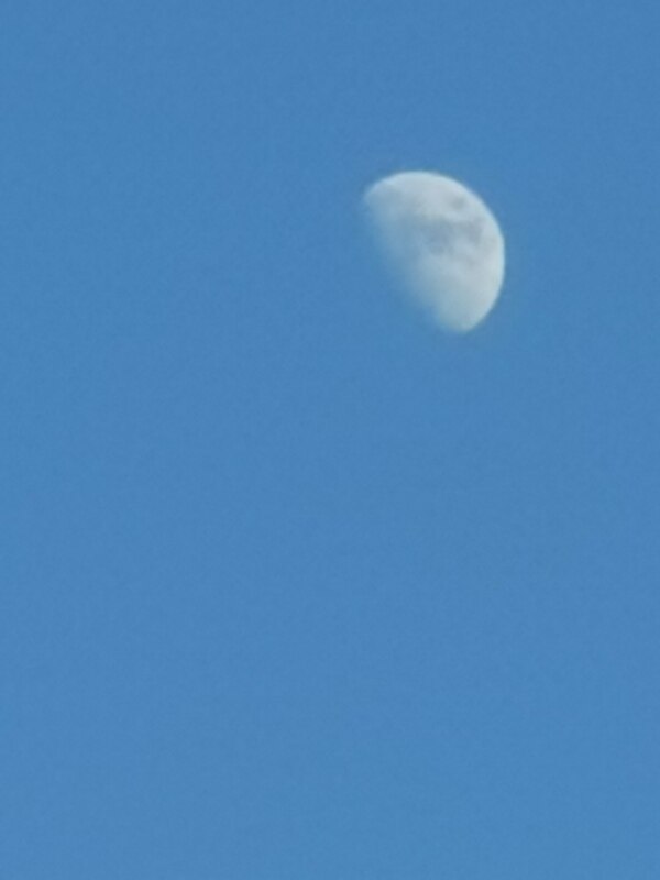 蓝色的月光图片