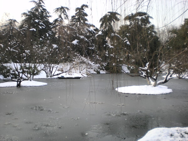 西湖雪景图片