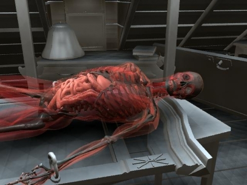 实验室里的透明人骨架MAYA模型