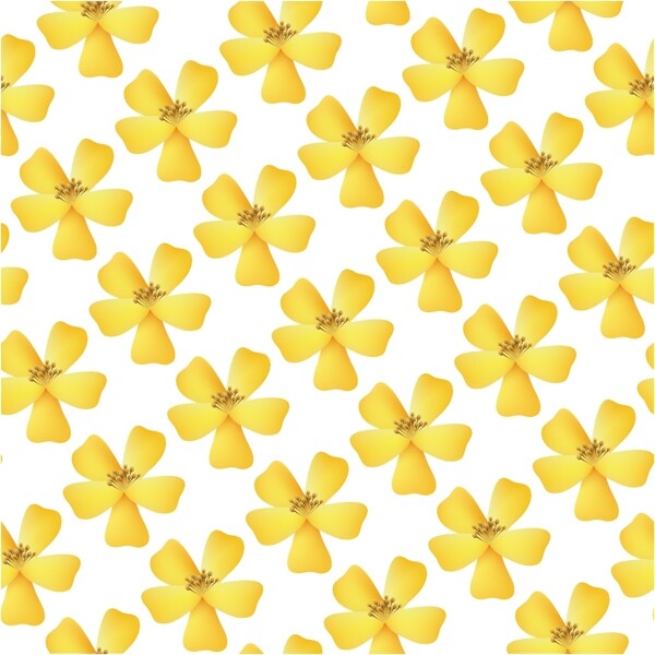 黄色的花是白色的