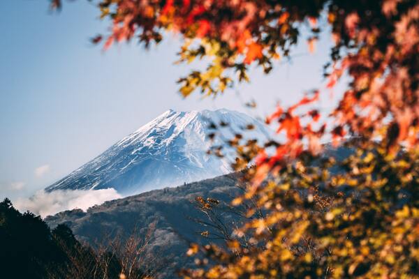枫叶雪山富士山