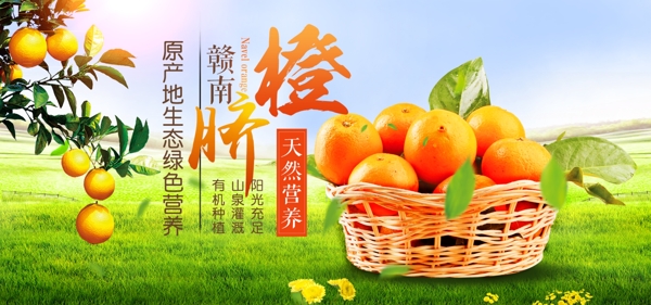 淘宝天猫秋季水果橙子脐橙海报banner