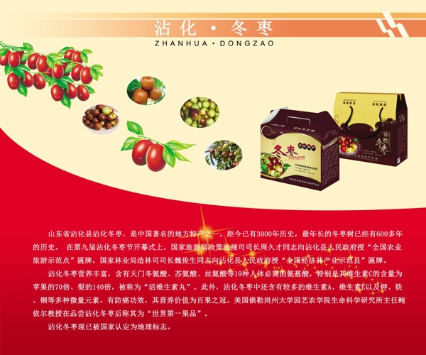 食品展板展示冬枣图片
