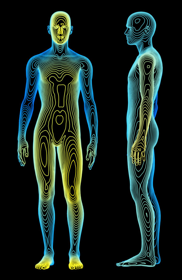 Anatomy3DRenders26图片