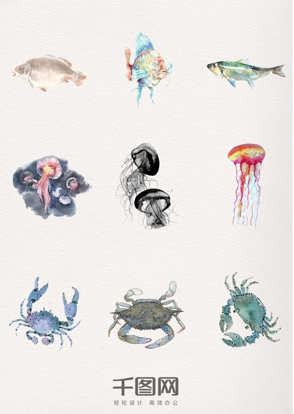 一组水彩动物海洋设计素材