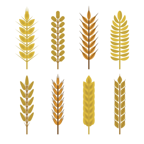 8款金色小麦合集矢量图