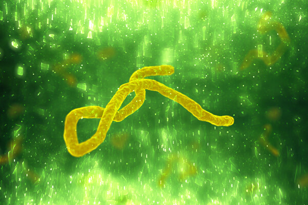 病毒背景图片