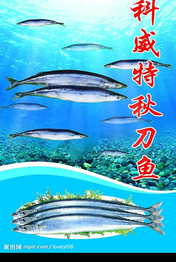 科威特秋刀鱼海报招贴图片