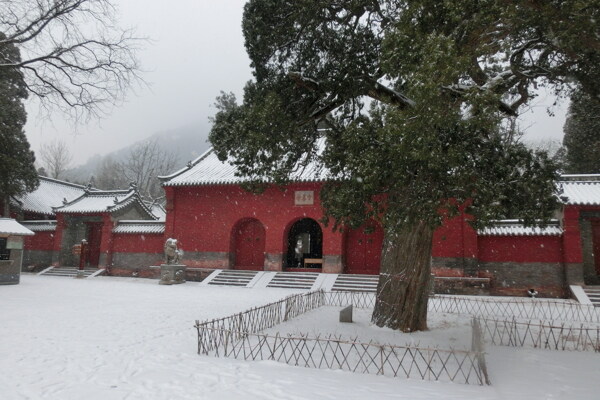 雪中的会善寺