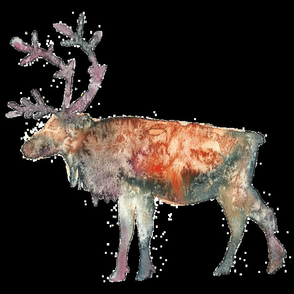 手绘花鹿透明装饰图案