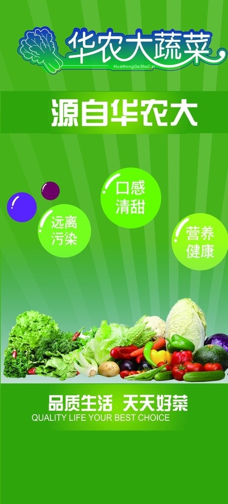 高档商超蔬菜海报