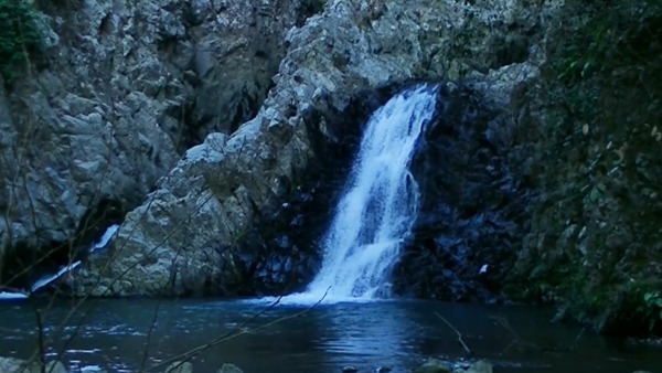 山间瀑布流淌动态视频实拍素材