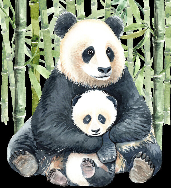 熊猫和竹林