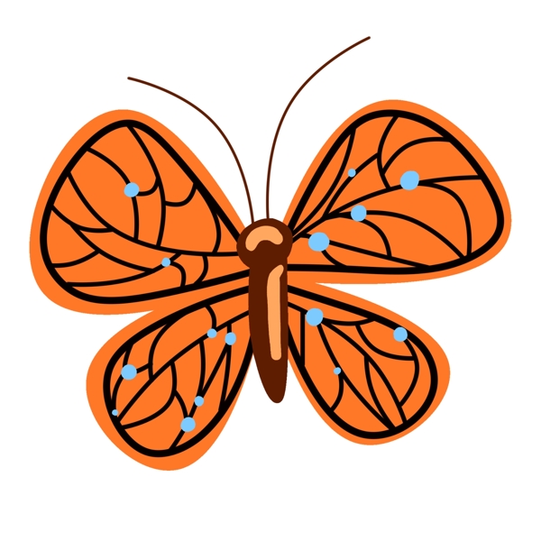 精美的橙色蝴蝶插画