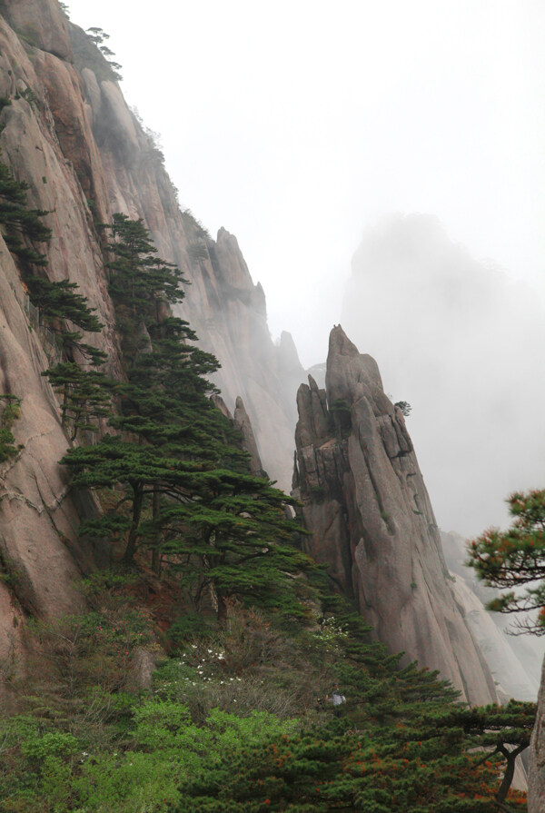 旅游景区背景