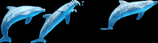 蓝色海豚png元素素材