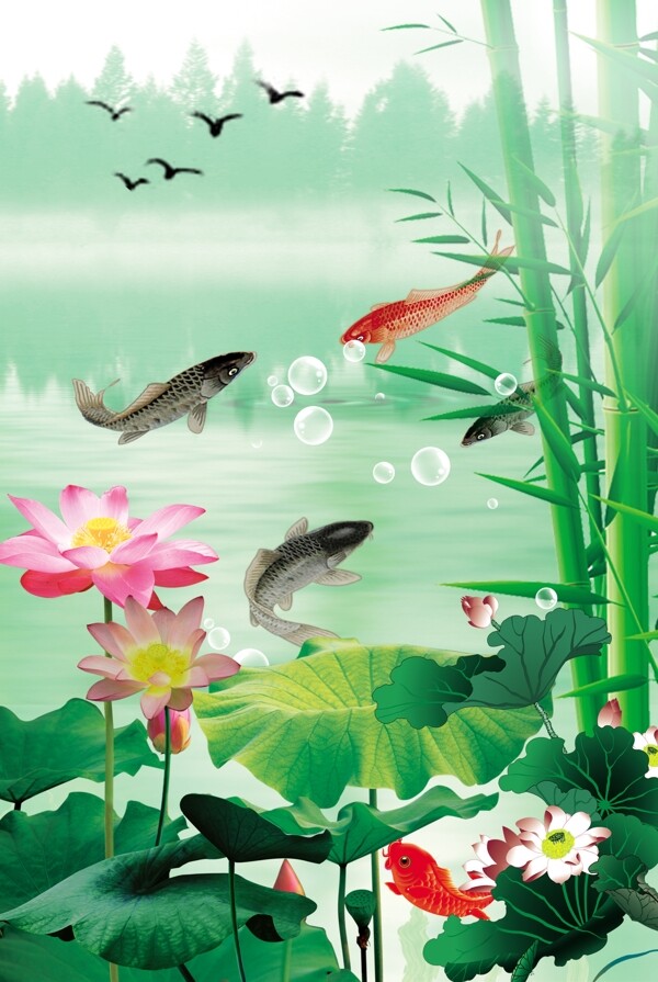 鱼戏莲图片