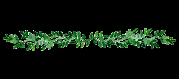 绿色植物花纹边框元素
