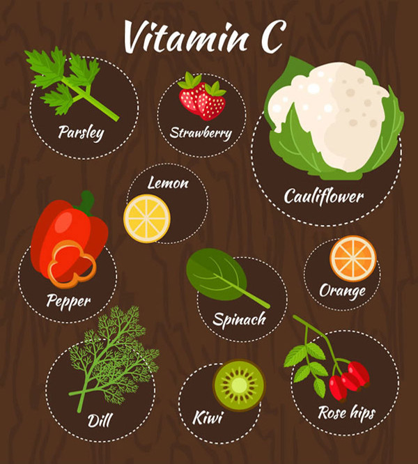 含维生素C的果蔬矢量素材下载