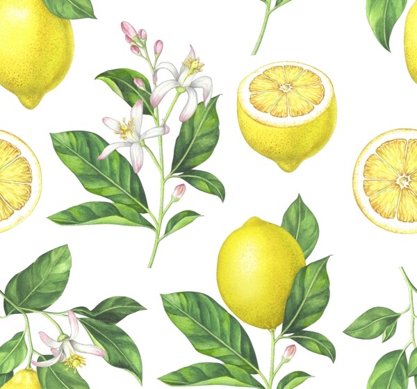 柠檬数码印花图片