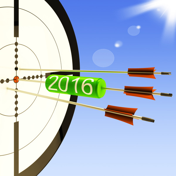 2016个目标显示业务计划的预测