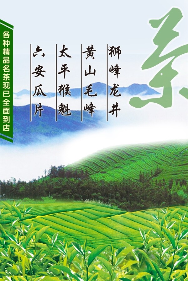 茶龙井海报图片