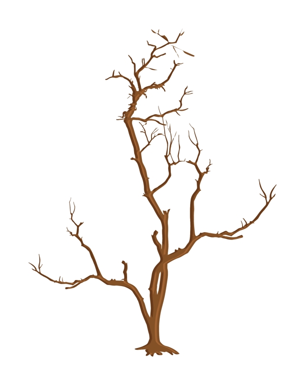 可怕的死树的树枝