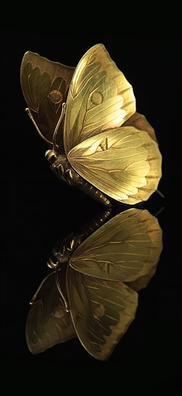 黄金金属质感纹理金蝴蝶