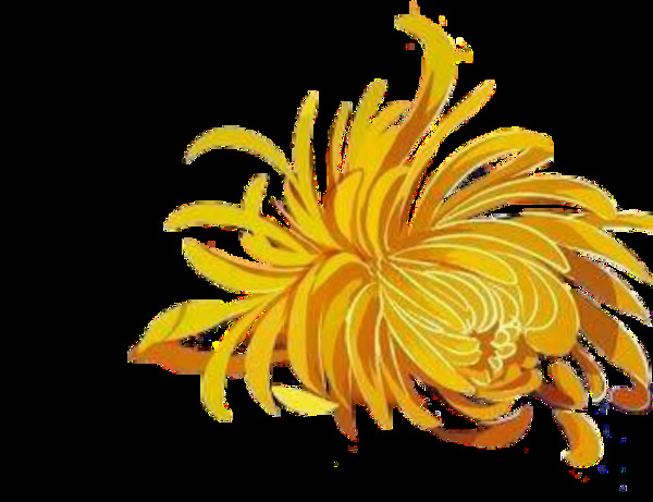 深黄色清新手绘菊花装饰元素