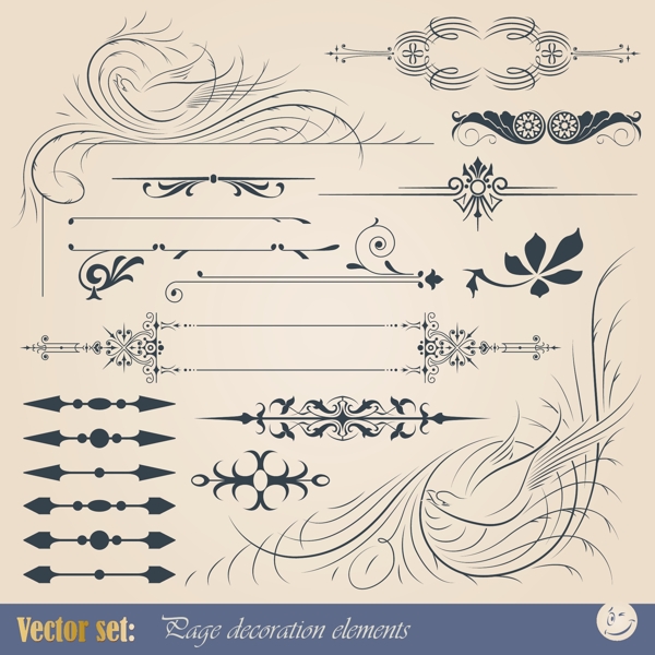 欧式花纹花边装饰设计矢量小鸟图片