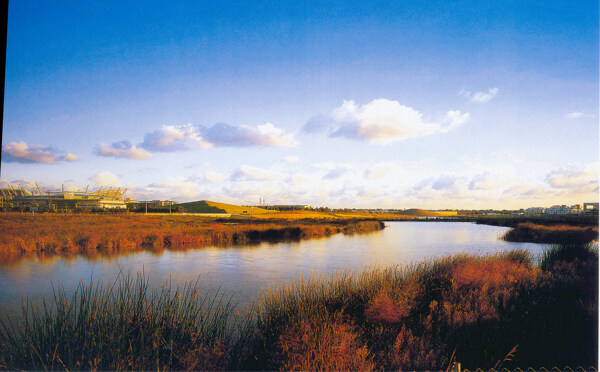 湿地景观图片