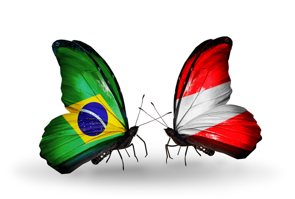 巴西国旗与蝴蝶图片